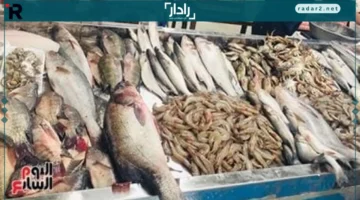 أسعار السمك في الإسماعيلية الجمعة تتراجع وتتنوع بين الطيور والأسماك البحرية